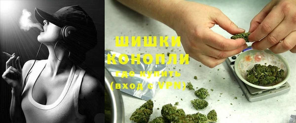 ГАЛЛЮЦИНОГЕННЫЕ ГРИБЫ Алзамай