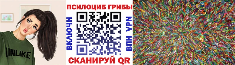 Псилоцибиновые грибы прущие грибы  гидра как войти  Боровск 